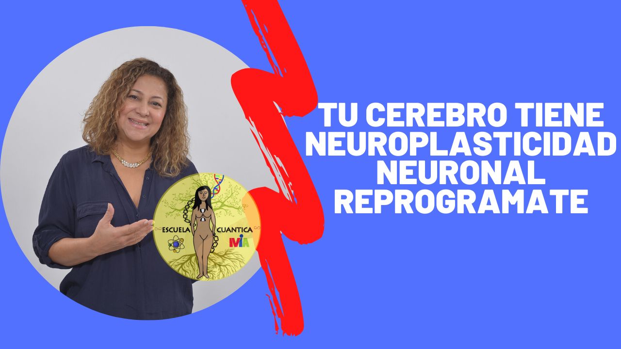Tu Cerebro Tiene Neuroplasticidad Neuronal Reprogramate